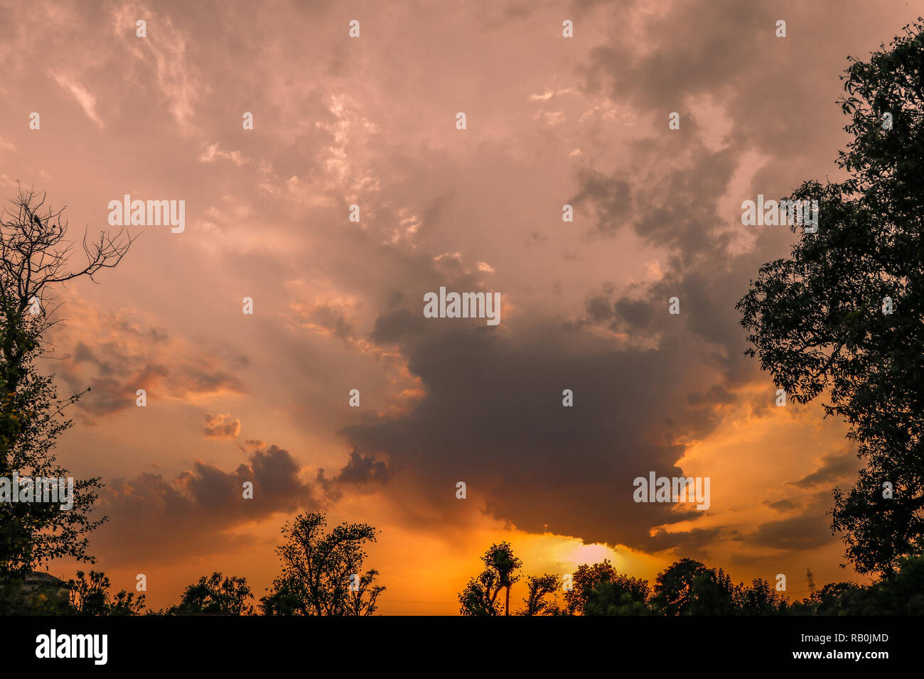 Sunset scenery though trees, with golden sky and clouds Stock Photo - Alamy