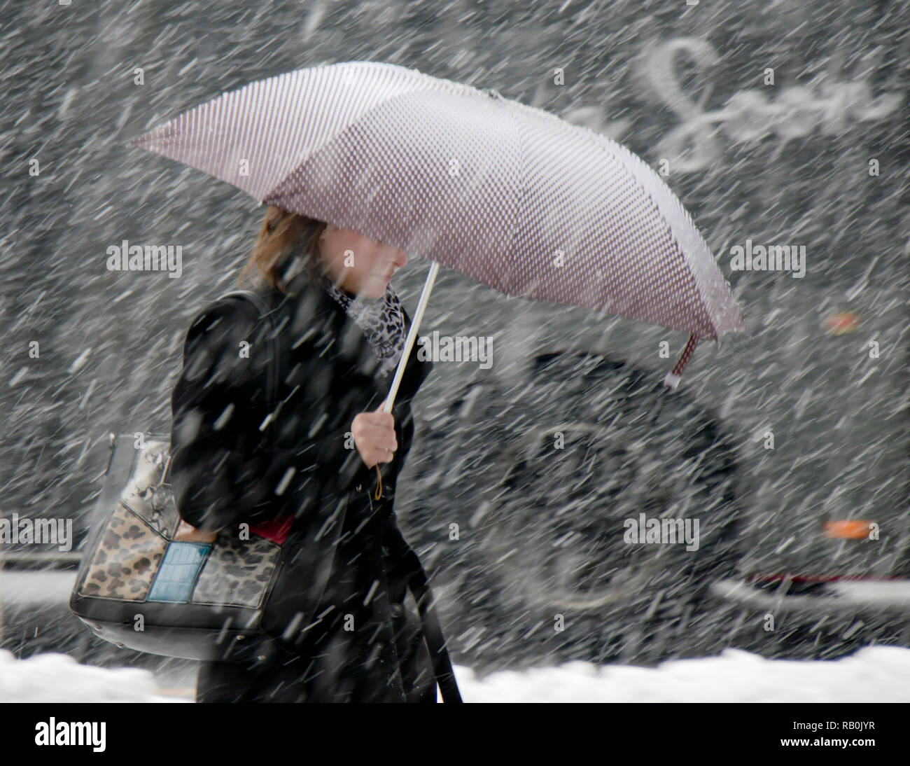 Belgrade, Serbia - December 15, 2016: One young elegant woman walking alone under umbrella in heavy snowfall in city street Stock Photo