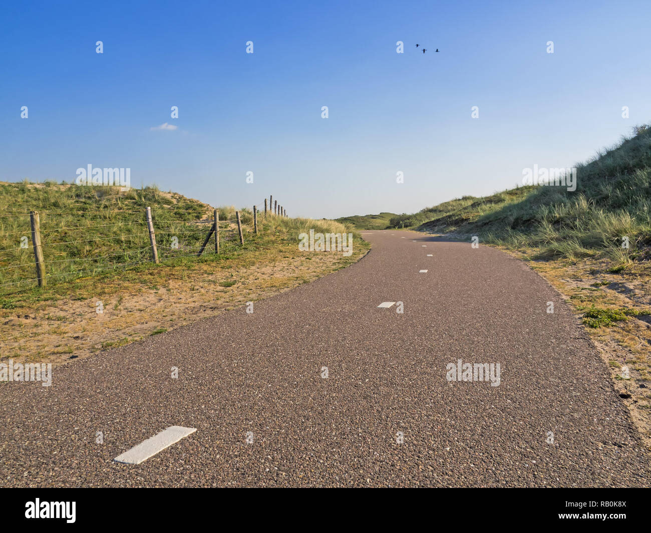Paved cycle track with dividing line in the Amsterdam water supply dunes near to Amsterdam and Zandvoort Stock Photo