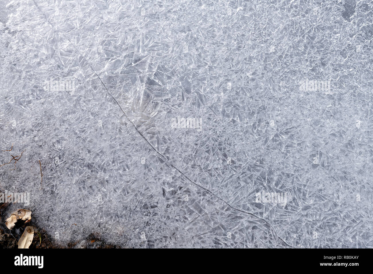 A crack runs through ice crystals in the Little Truckee River, California, USA Stock Photo