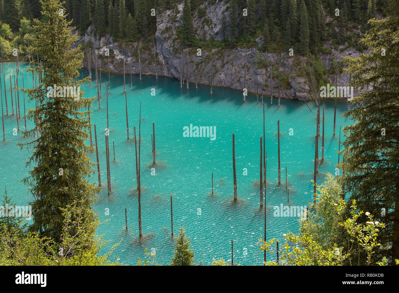 Kaindy Lake in Kazakhstan known also as Birch Tree Lake or Underwater forest, with tree trunks coming out of the water. Stock Photo