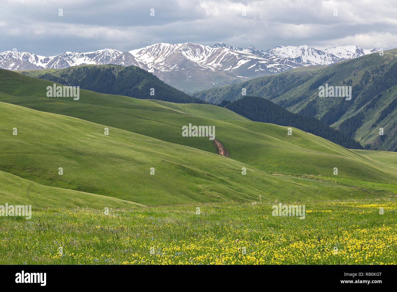 Assy Plateau where the nomadic people go in the summer, near the city of Almaty, Kazakhstan. Stock Photo