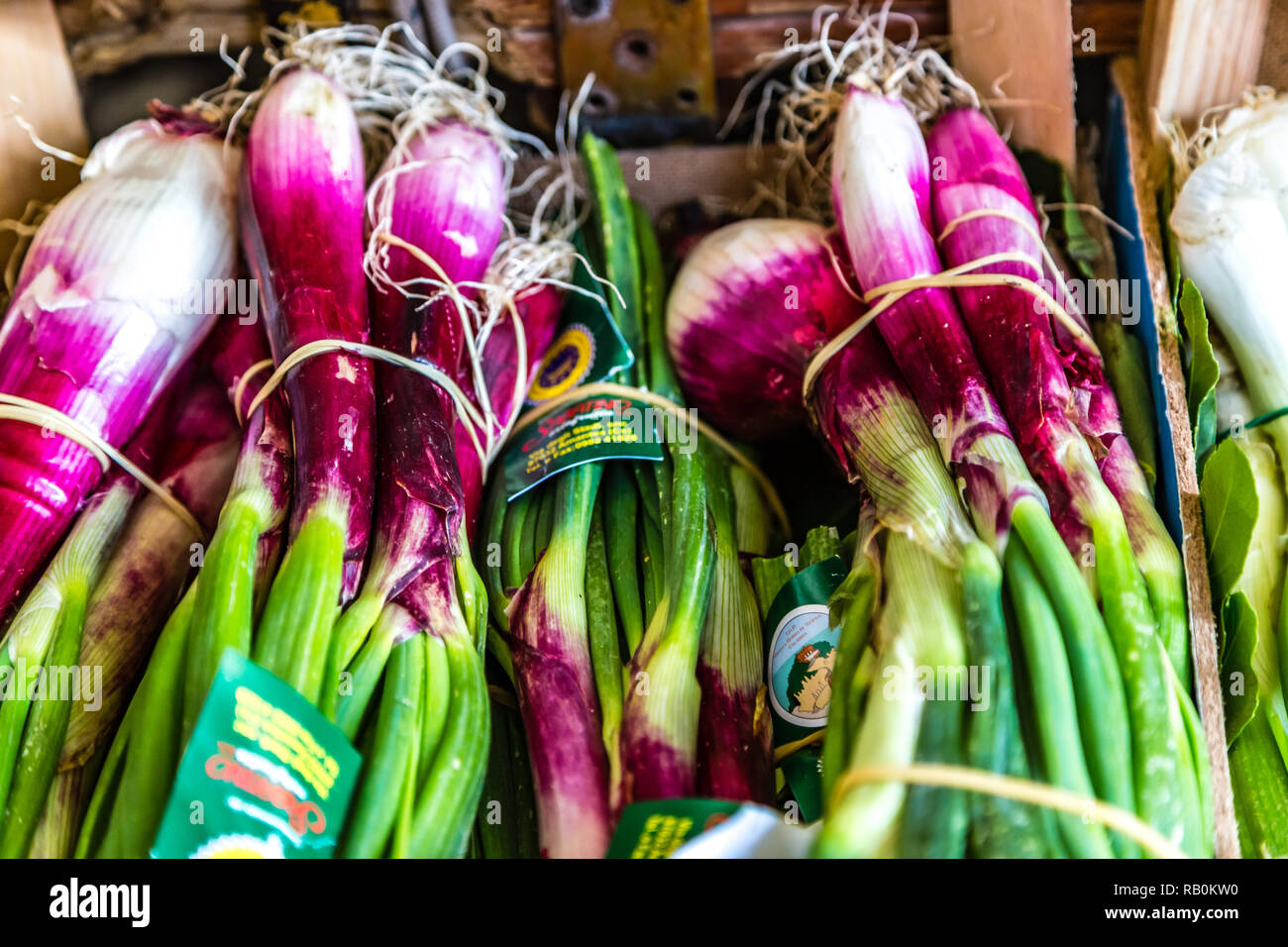 The sweet red onion of tropea hires stock photography and images Alamy