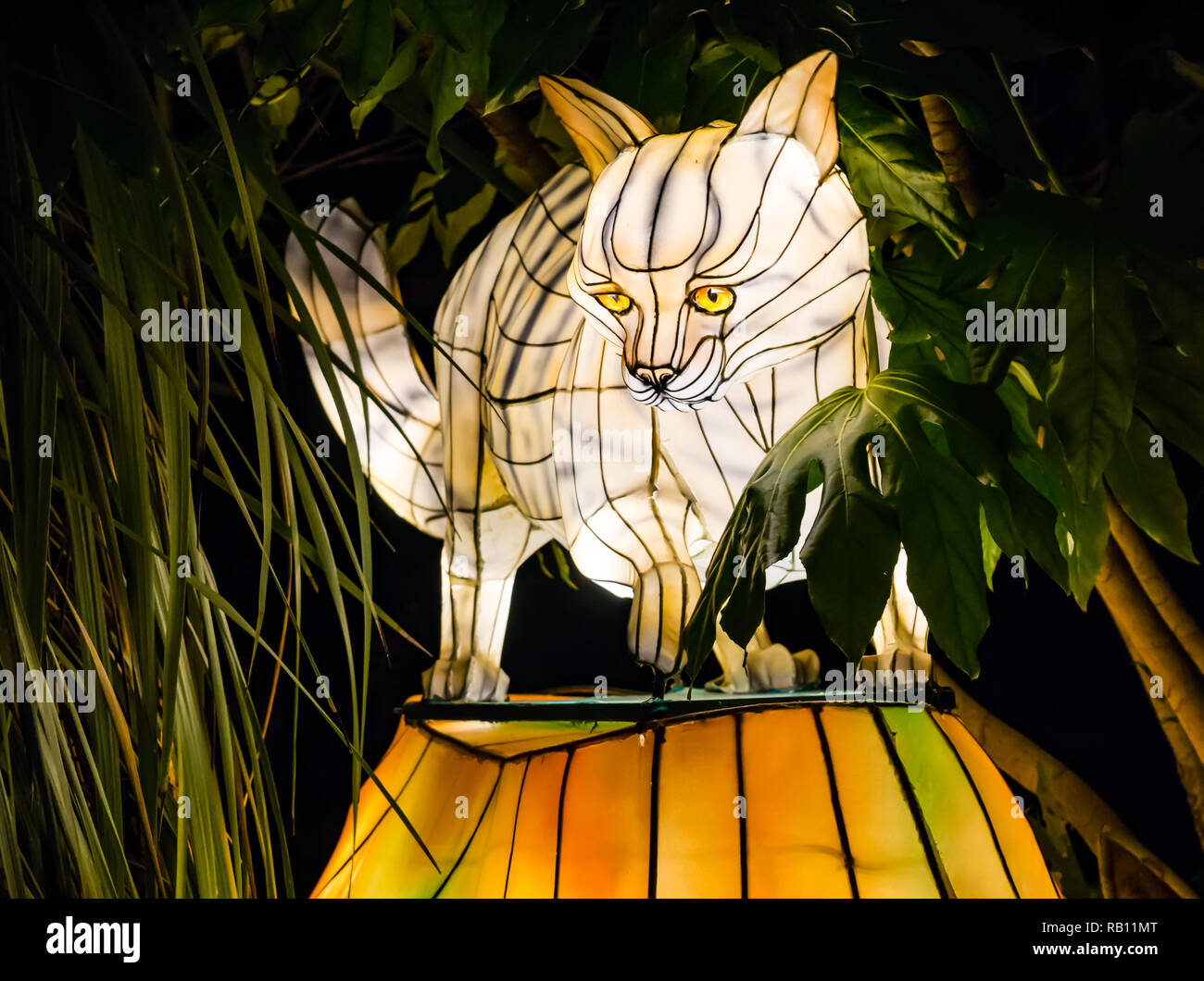 Giant Lanterns of China display at Edinburgh Zoo, Christmas event