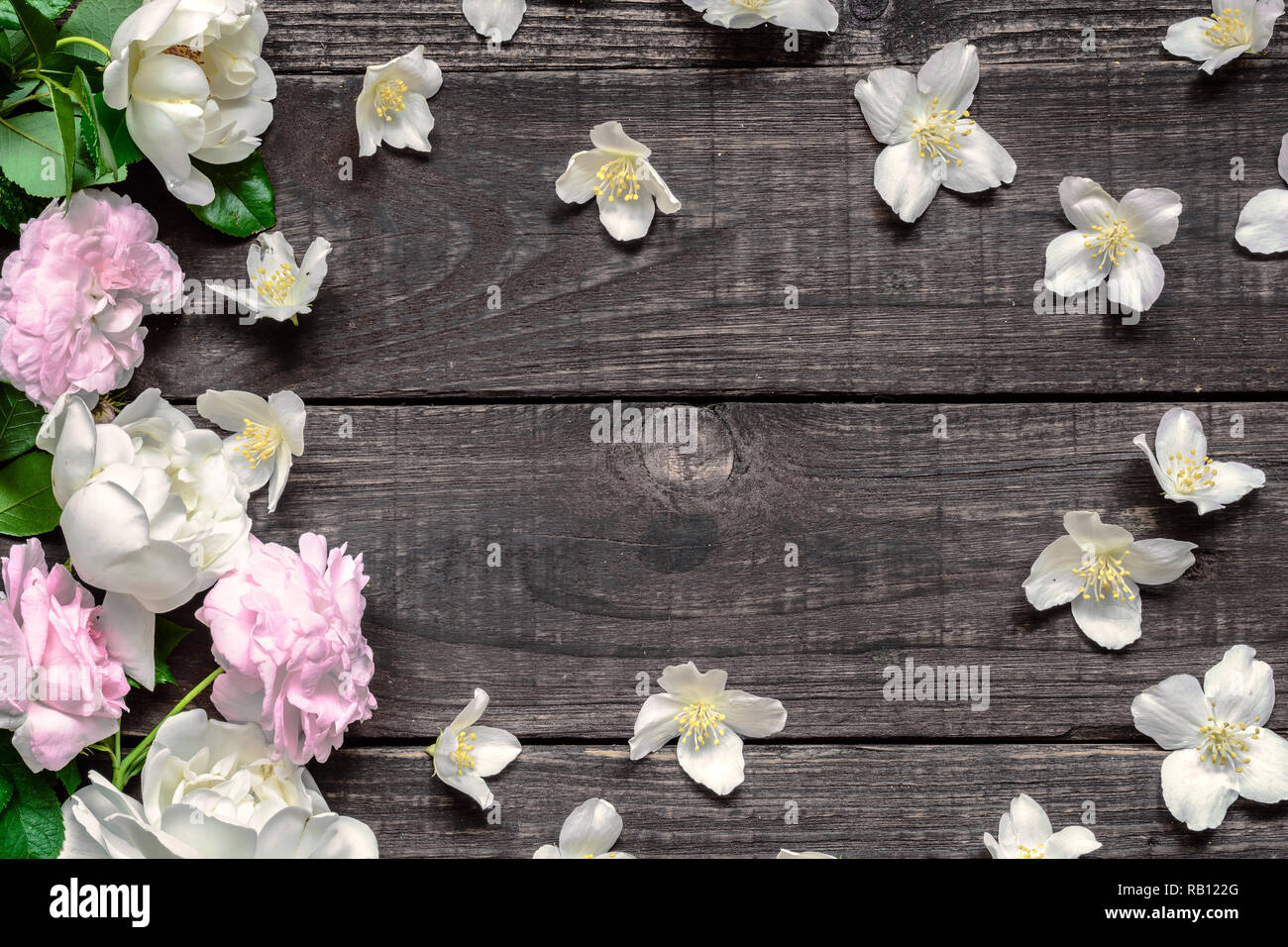 Jasmine flower background flat hi-res stock photography and images - Alamy