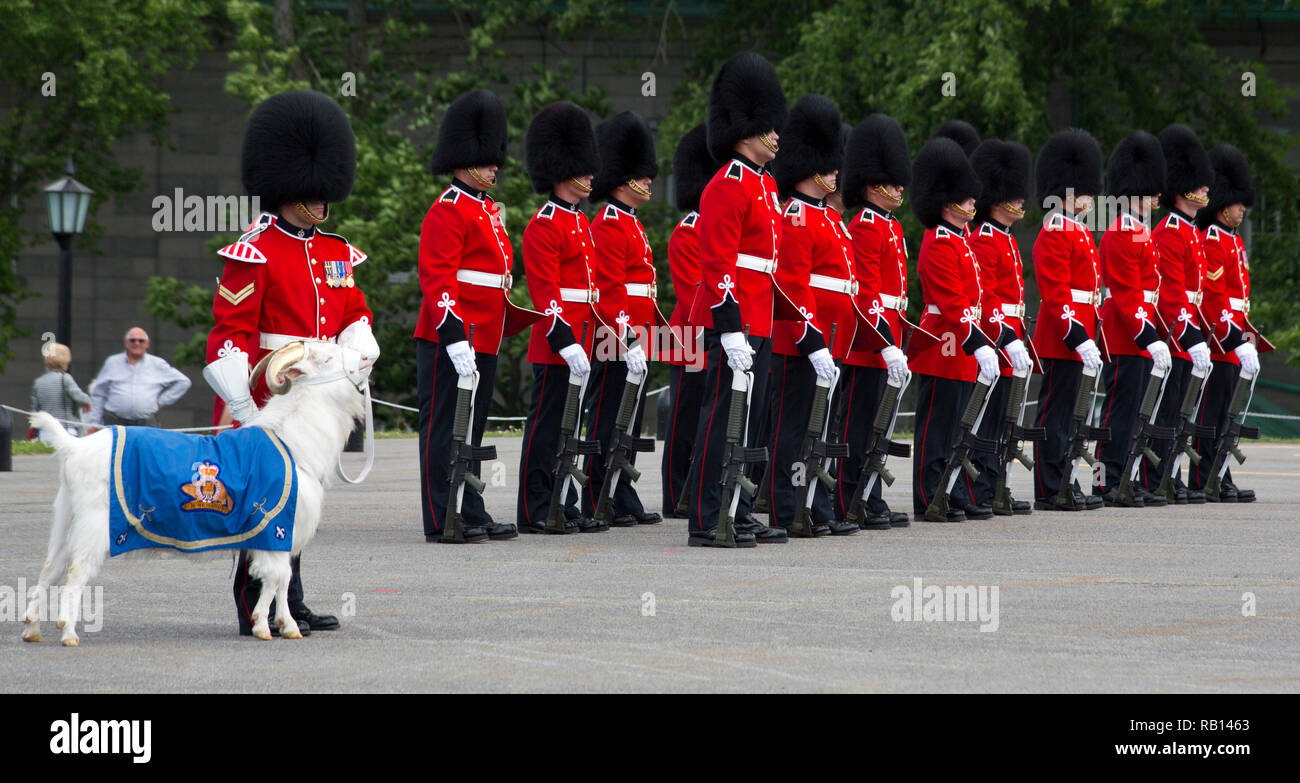 Views of changing of the Guard in La Citadelle, Quebec City, Canada