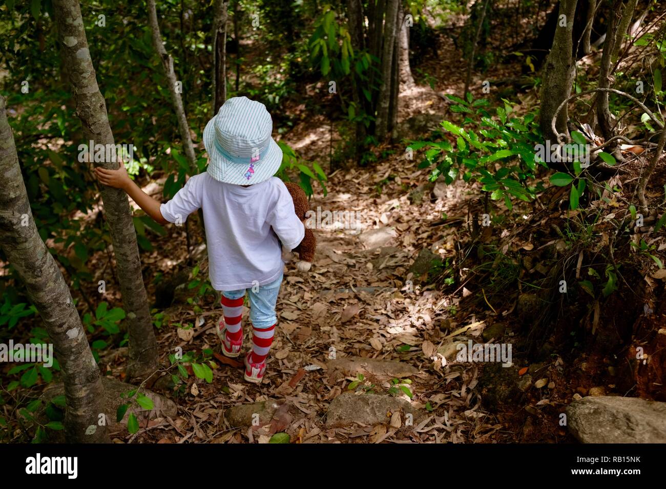 A young girl walking through a forest holding a teddy bear, Alligator