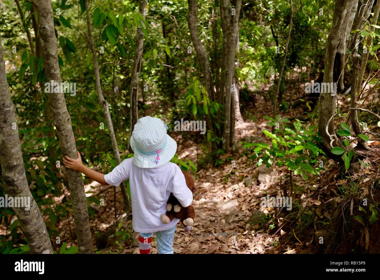 A young girl walking through a forest holding a teddy bear, Alligator