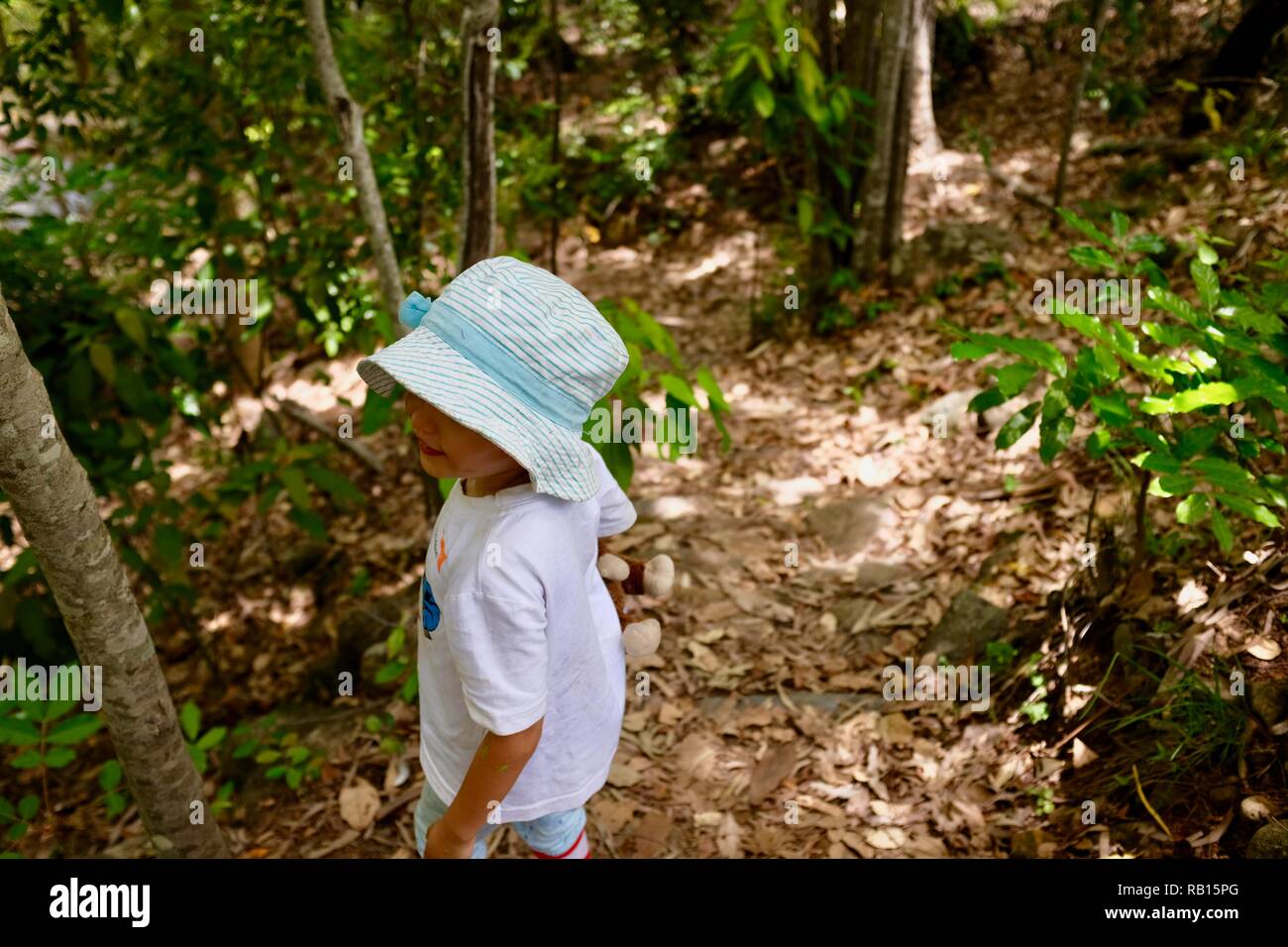 A young girl walking through a forest holding a teddy bear, Alligator