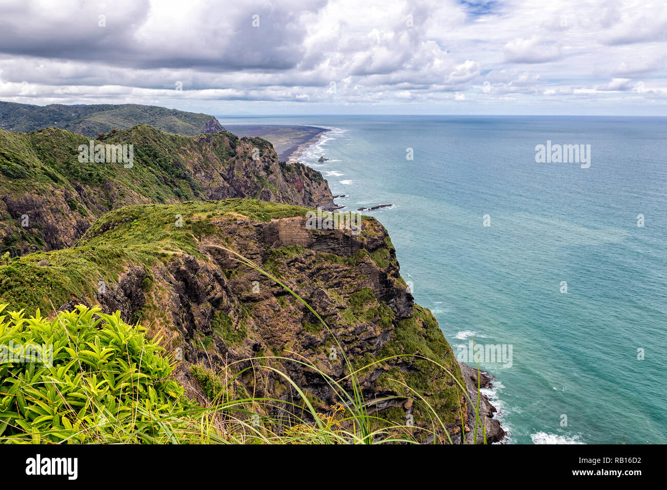 Waitakere Ranges Cliffs Waitakere range regional park hi-res stock photography and images - Alamy