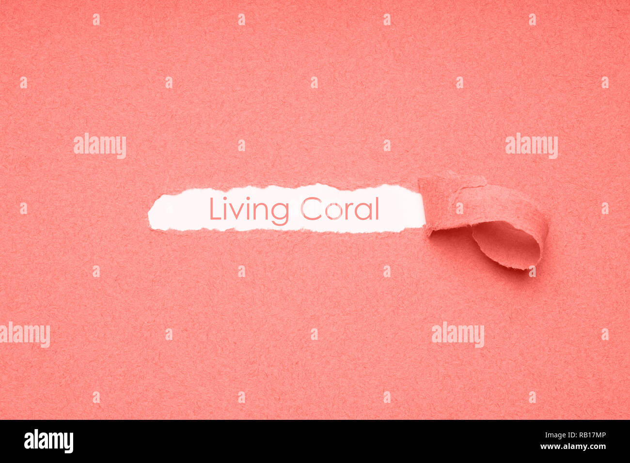 living coral color of the year 2019 paper background Stock Photo