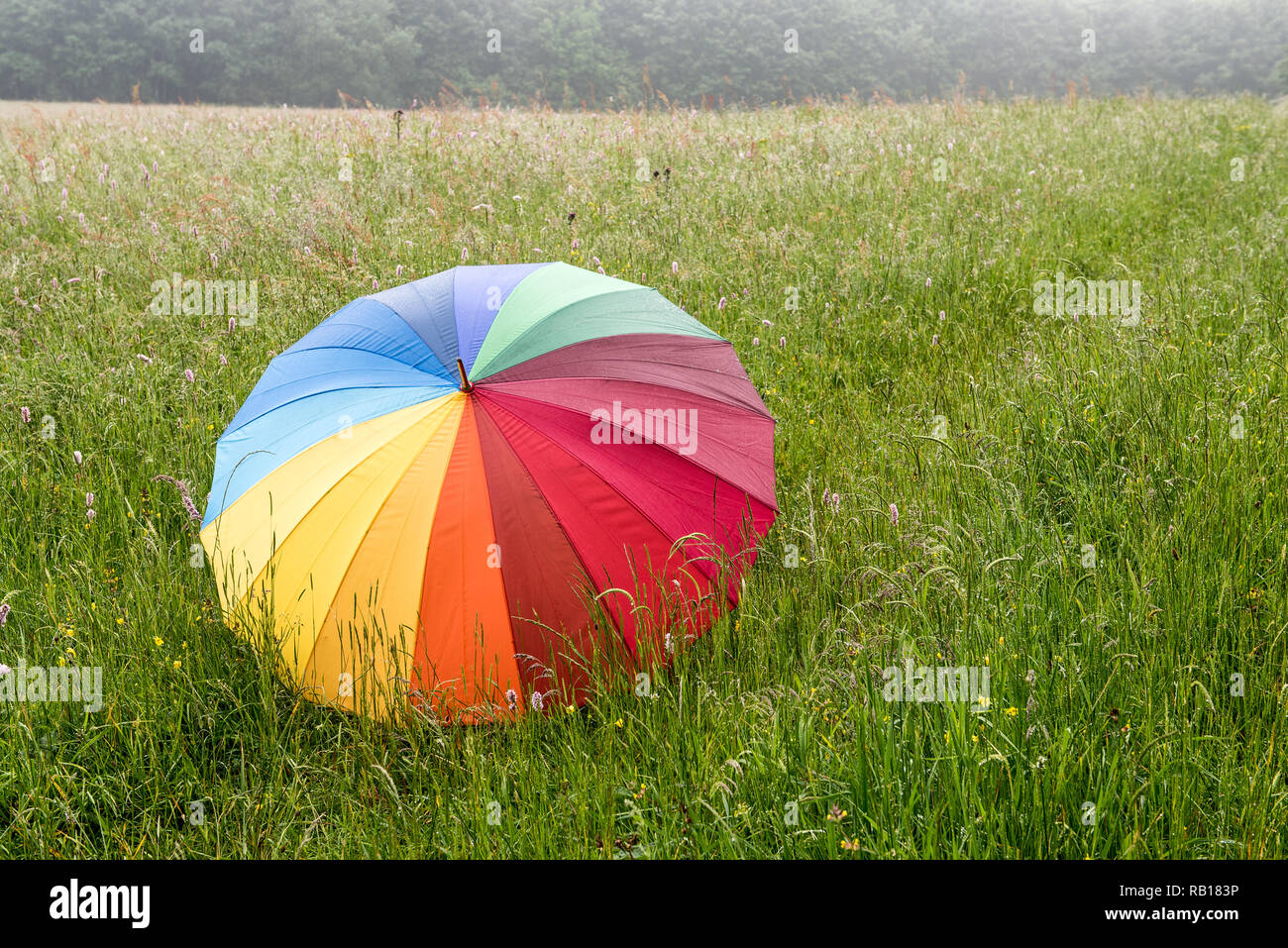 big colored umbrella on a green meadow Stock Photo
