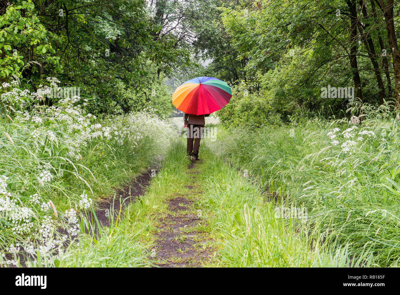 person with big colored umbrella walking in the woods Stock Photo