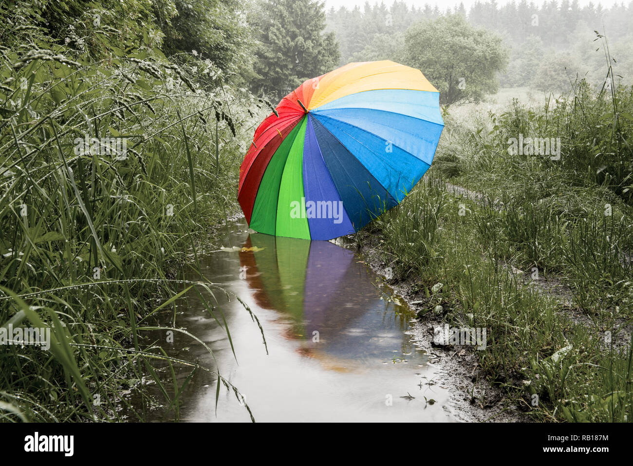 lonely big colored umbrella in the landscape and reflecting in water Stock Photo