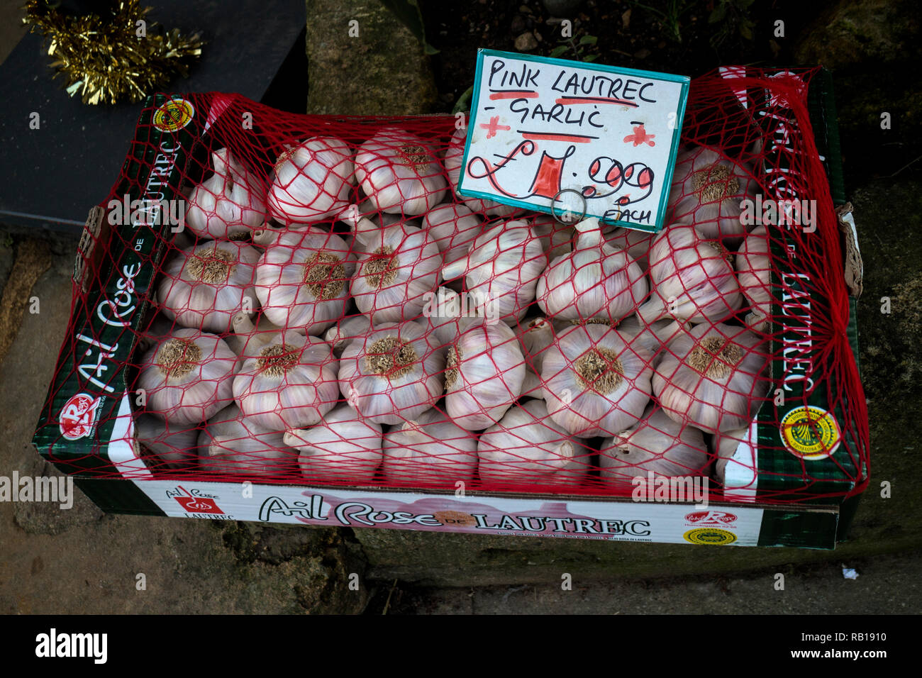 Pink Lautrec Garlic on sale Stock Photo