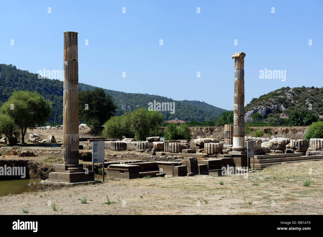 Column monuments dedicated to Sextus Appuleius (left), Menippos of Colophon (right), background is the Temple of Apollo, Claros, Turkey. Stock Photo