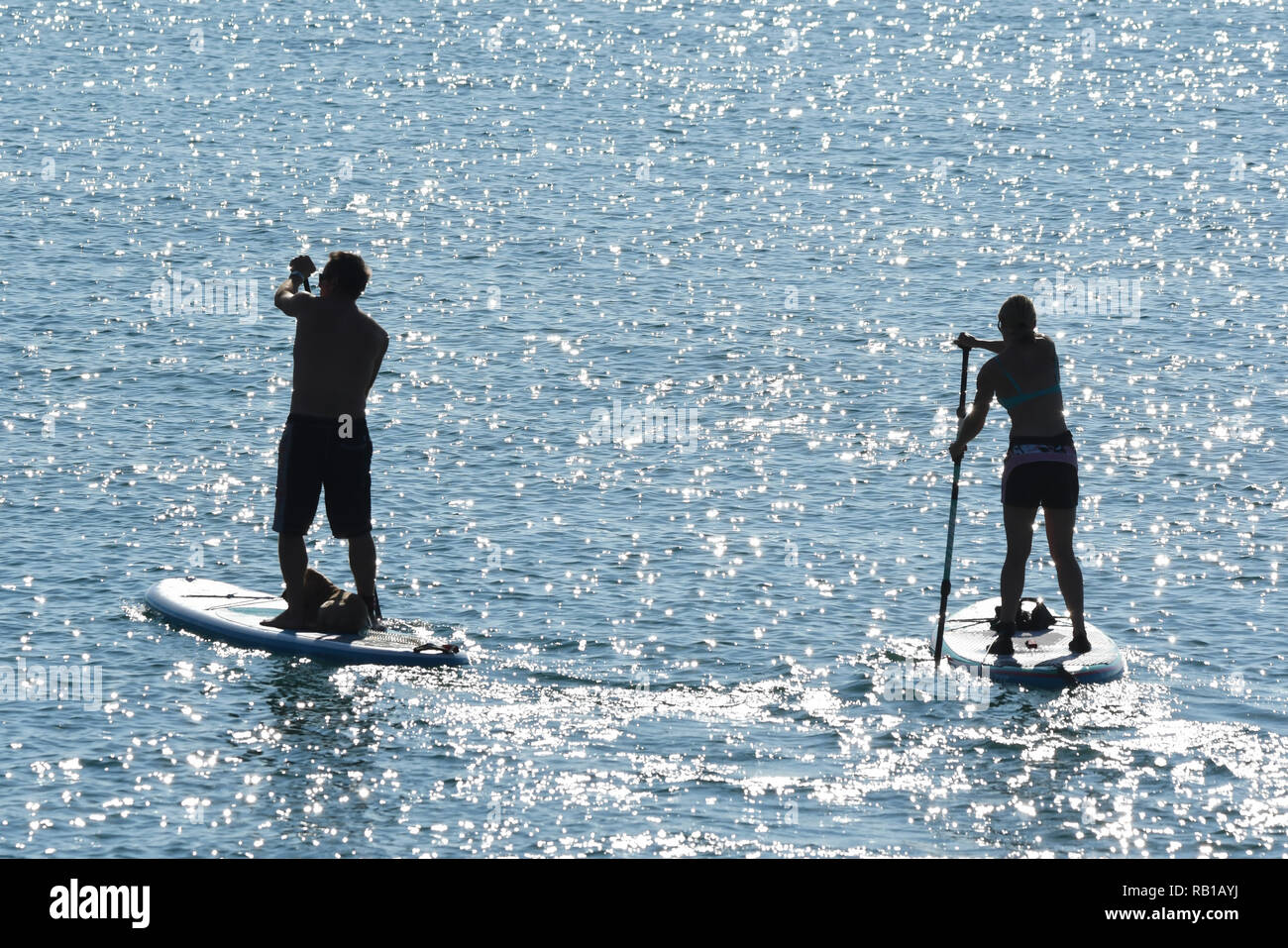 People paddle boarding at sea with sun sparkling on the water. Stock Photo
