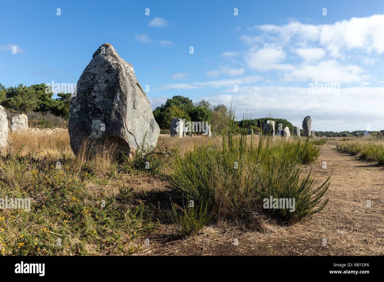 Megalithic site of Carnac (Morbihan, France) Stock Photo