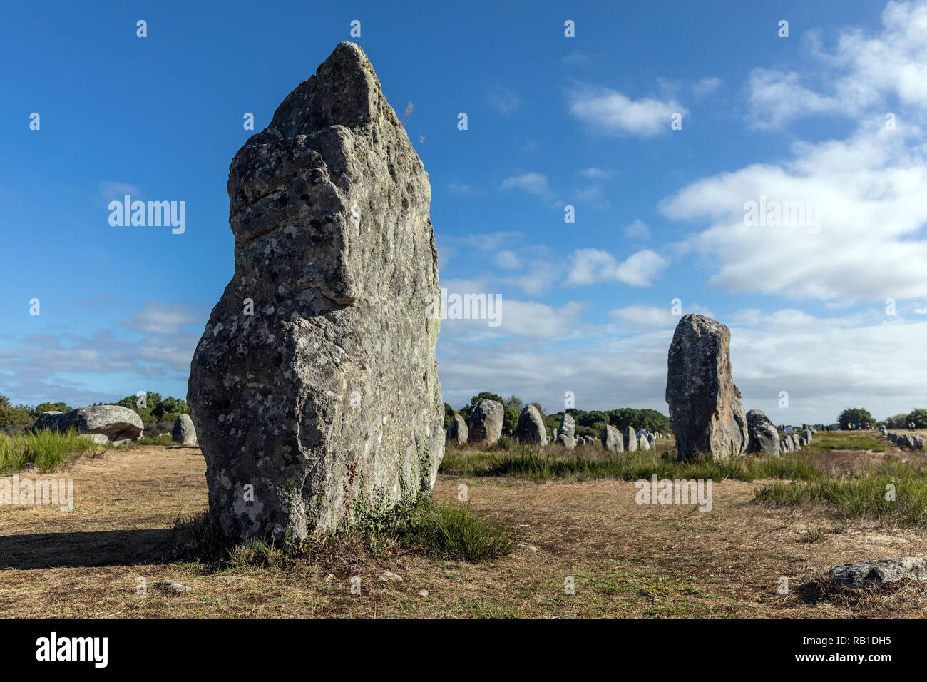 Megalithic site of Carnac (Morbihan, France) Stock Photo