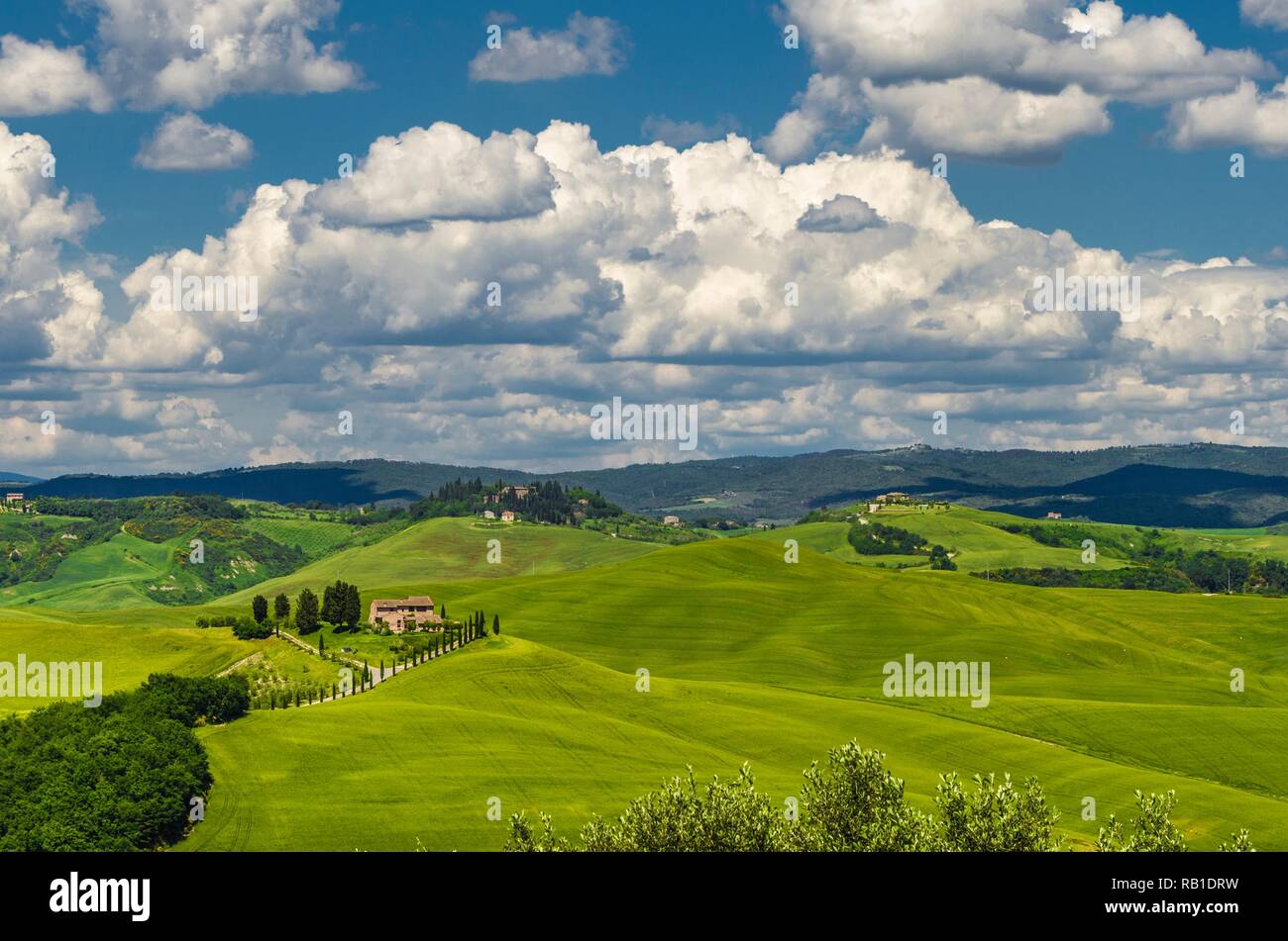 Beautiful Panorama Of The Crete Senesi In Tuscany Italy Stock Photo Alamy