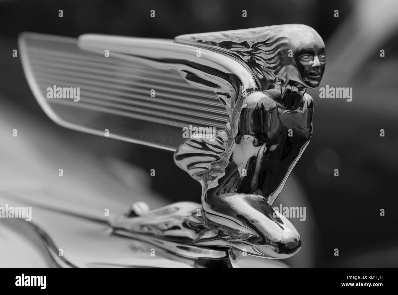 Classic auto hood ornaments Stock Photo Alamy