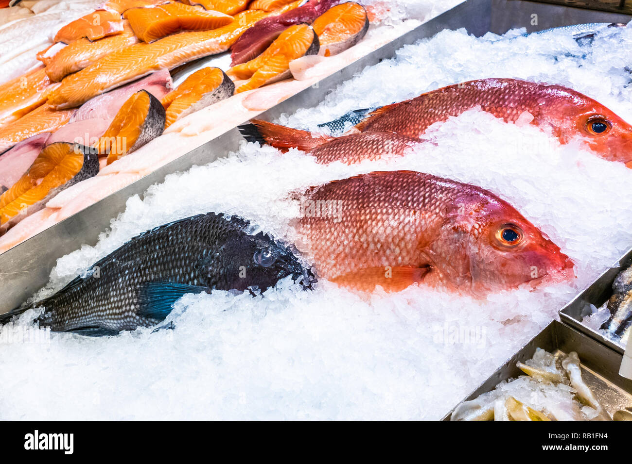Variety of Raw Fresh Fish preserved on ice Stock Photo