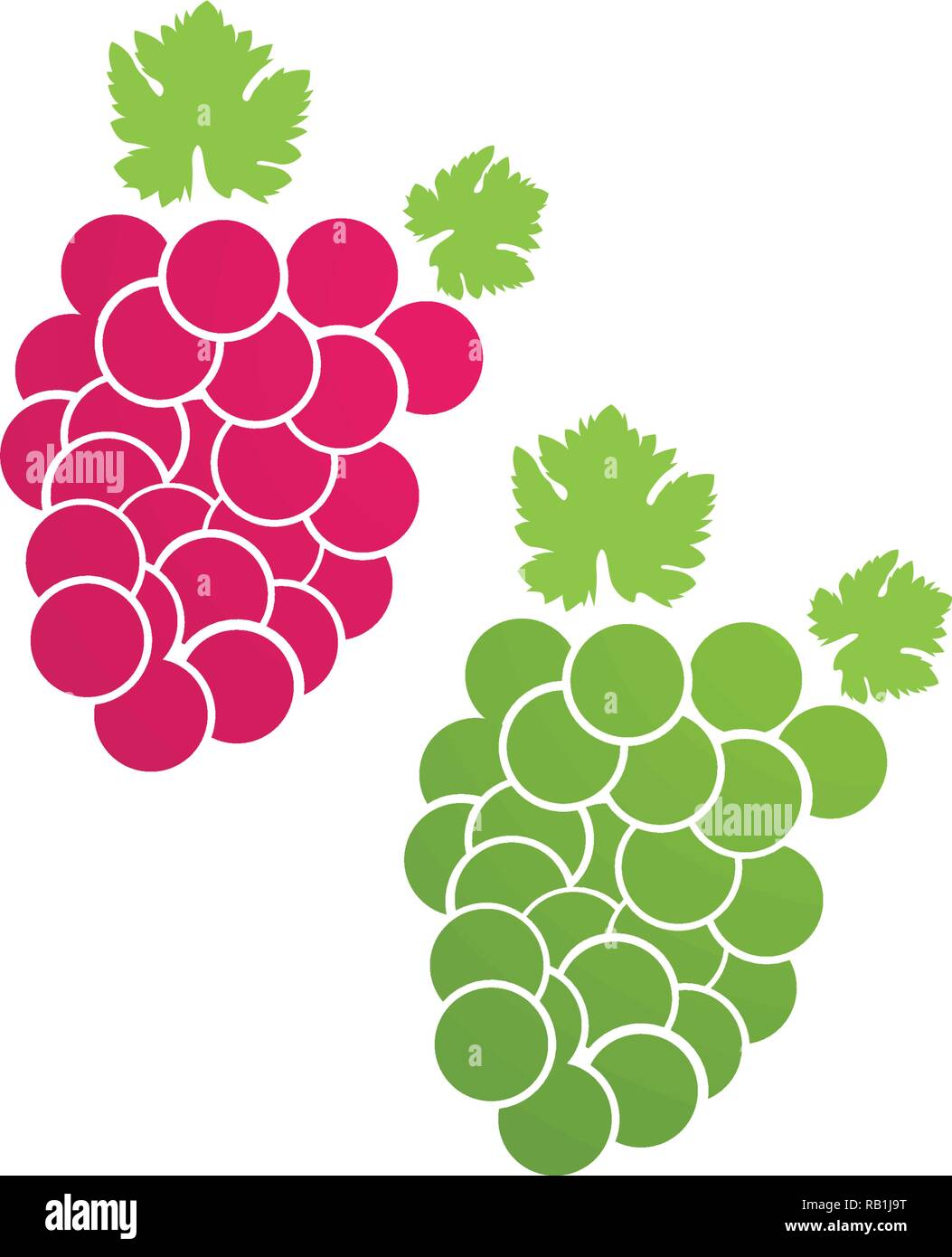 grape purple and green vector illustration Stock Vector