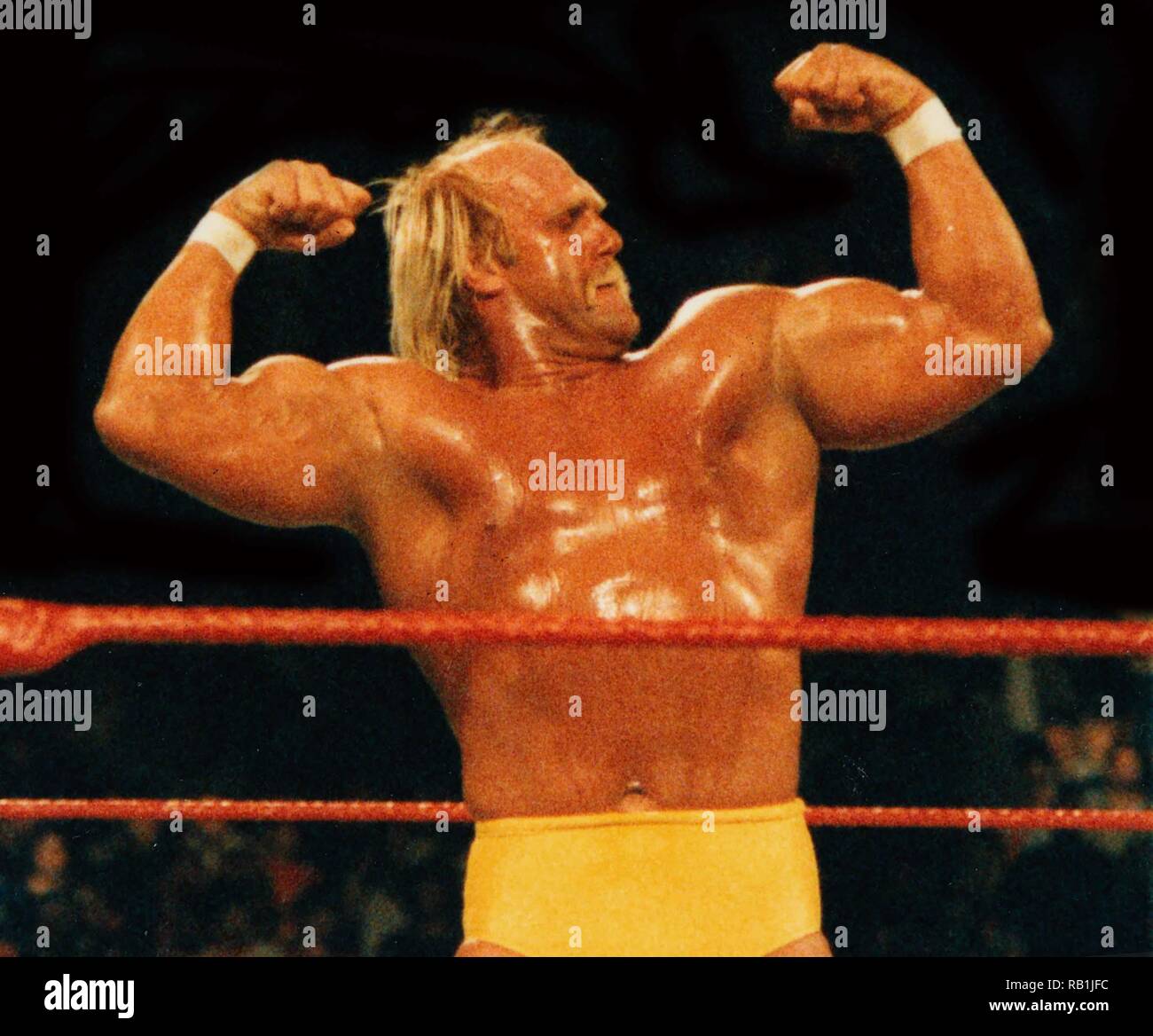 Hulk hogan hi res stock photography and images Alamy