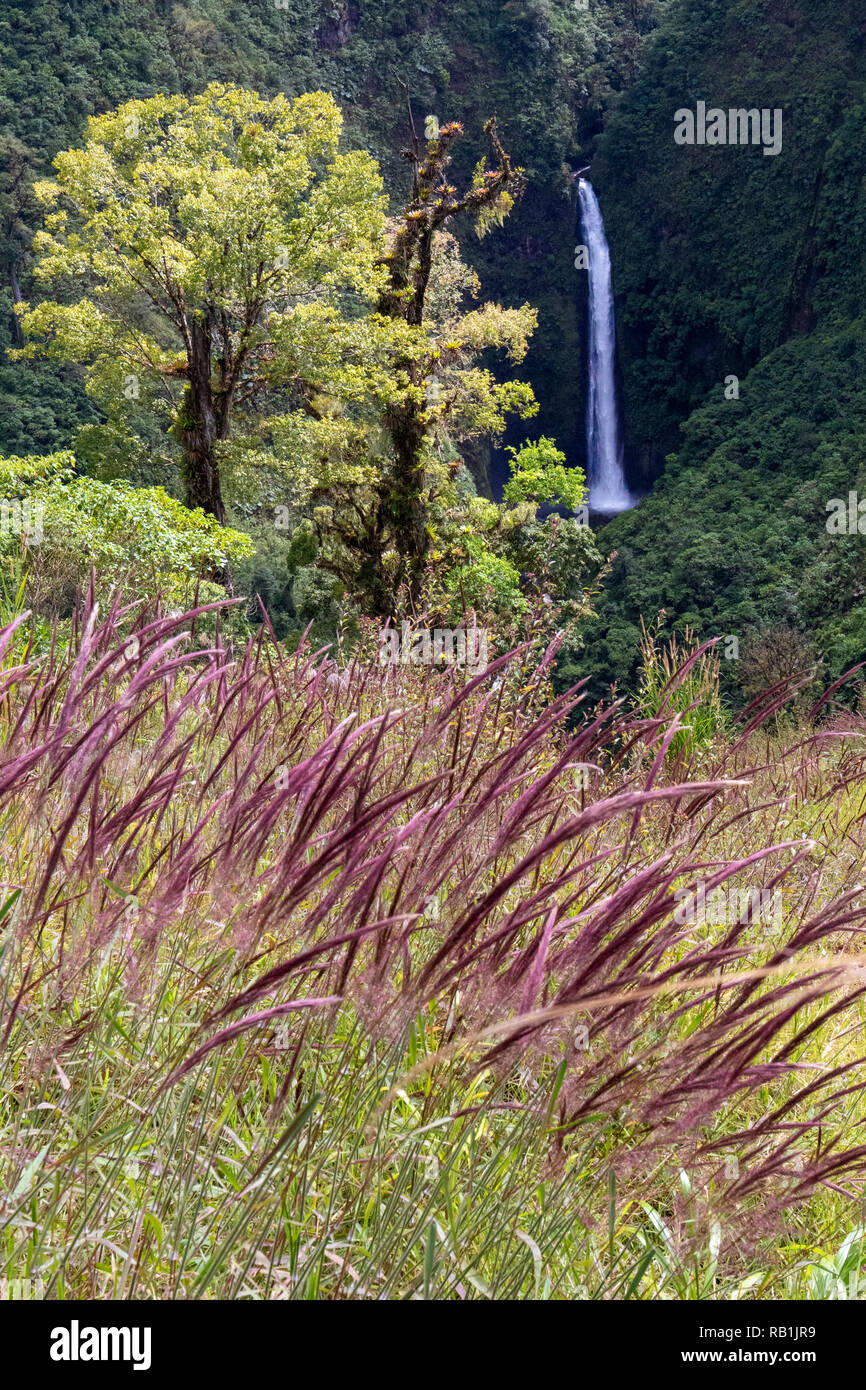 San Fernando Waterfall (Cinchona Falls) - Alajuela Province, Costa Rica Stock Photo