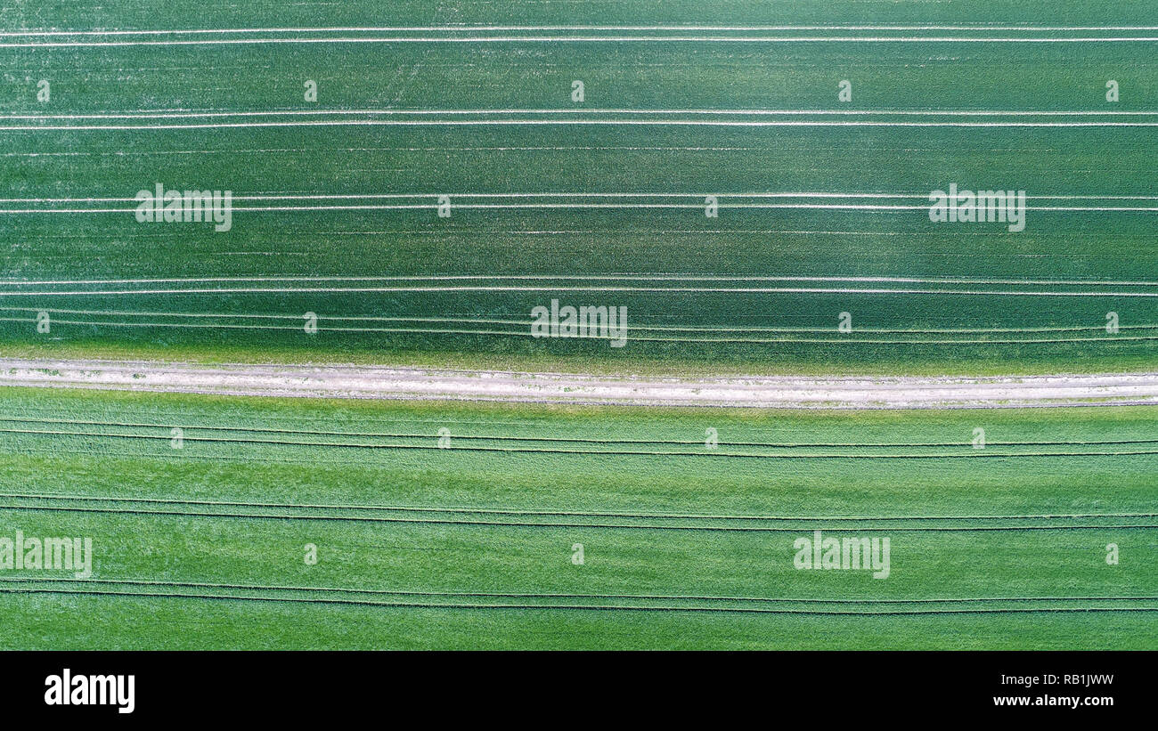 Aerial photograph of symmetrical lines in  the grass / crops in a farmers field Stock Photo