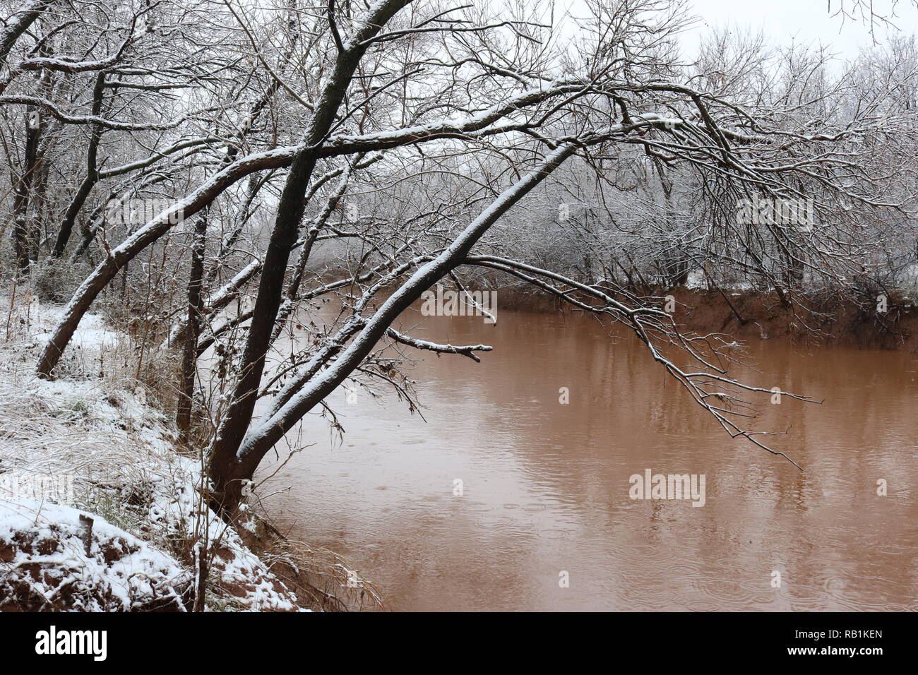 Trees covered in snow and ice on the banks of a red river Stock Photo