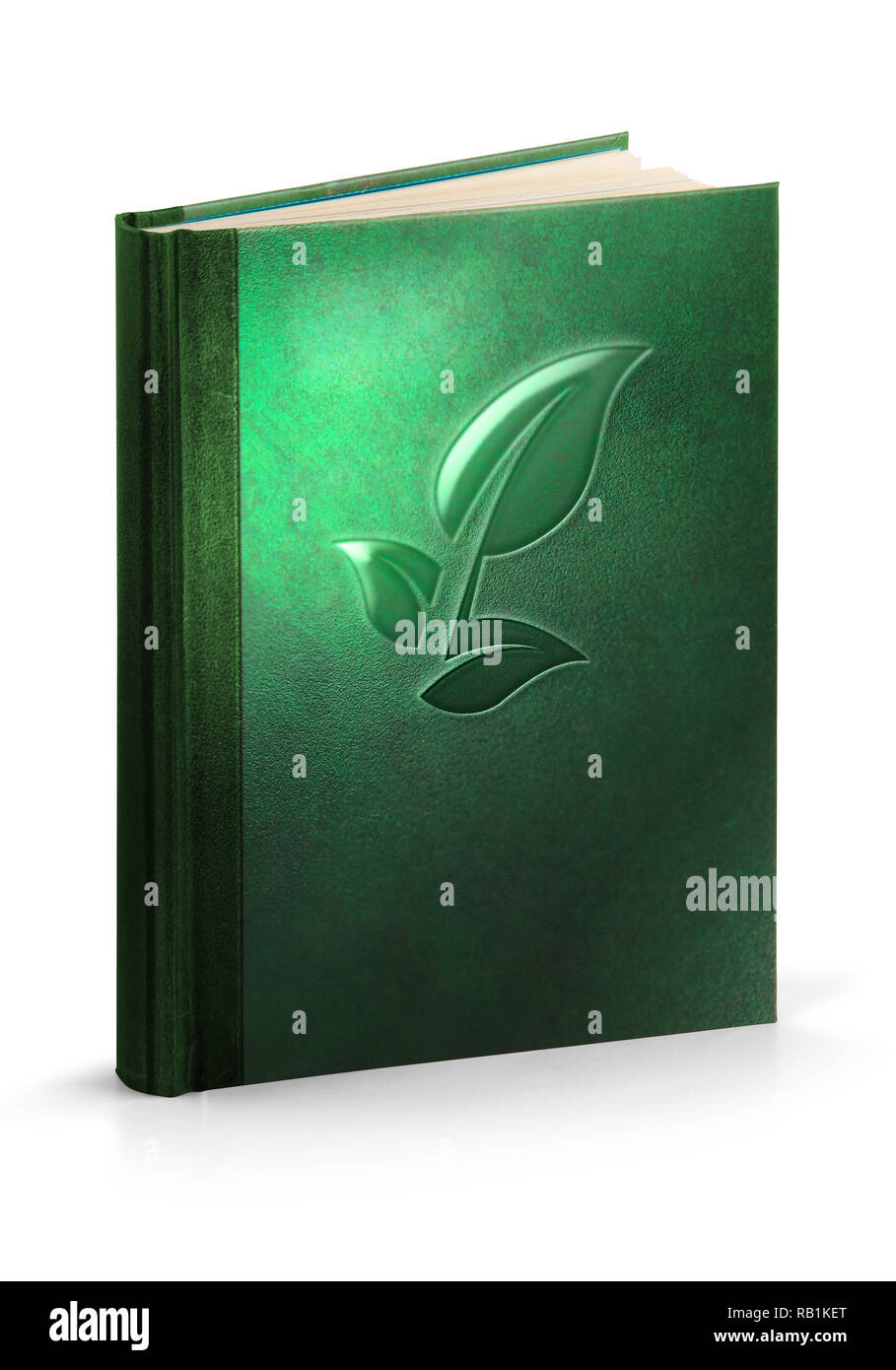 book of herbal healing - hardcover leather book with  clipping path Stock Photo
