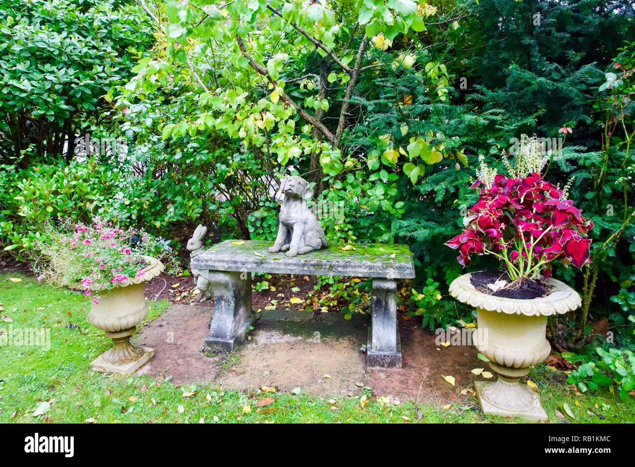 Garden, Torquay, Devon, England Stock Photo Alamy