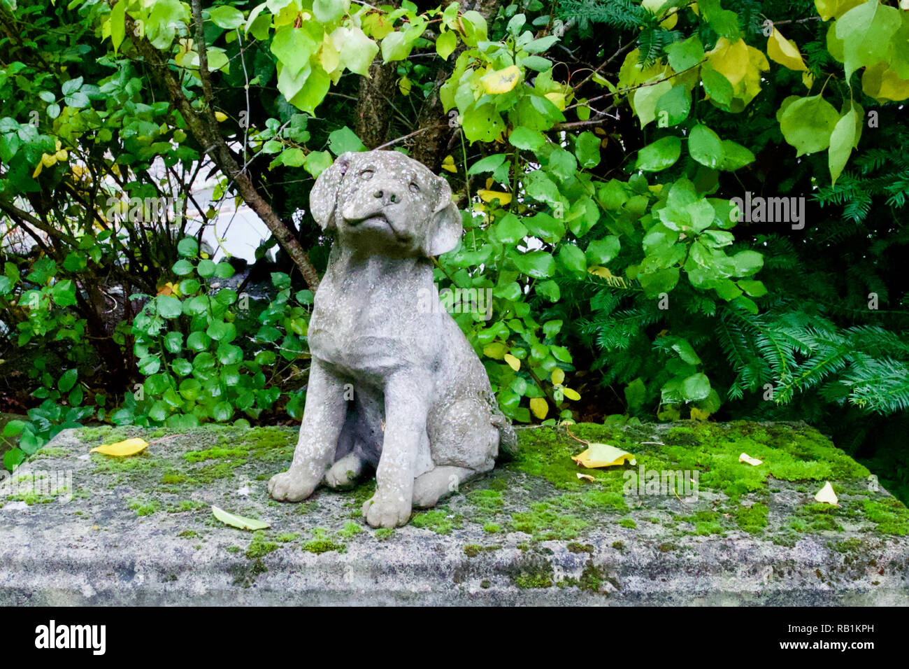 Garden, Torquay, Devon, England Stock Photo Alamy