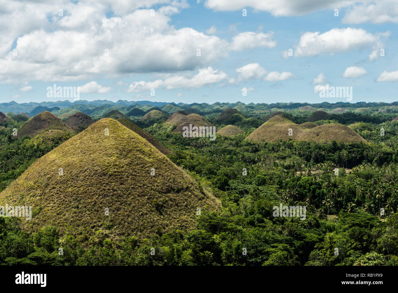 Chocolate hills - Bohol, Philippines Stock Photo