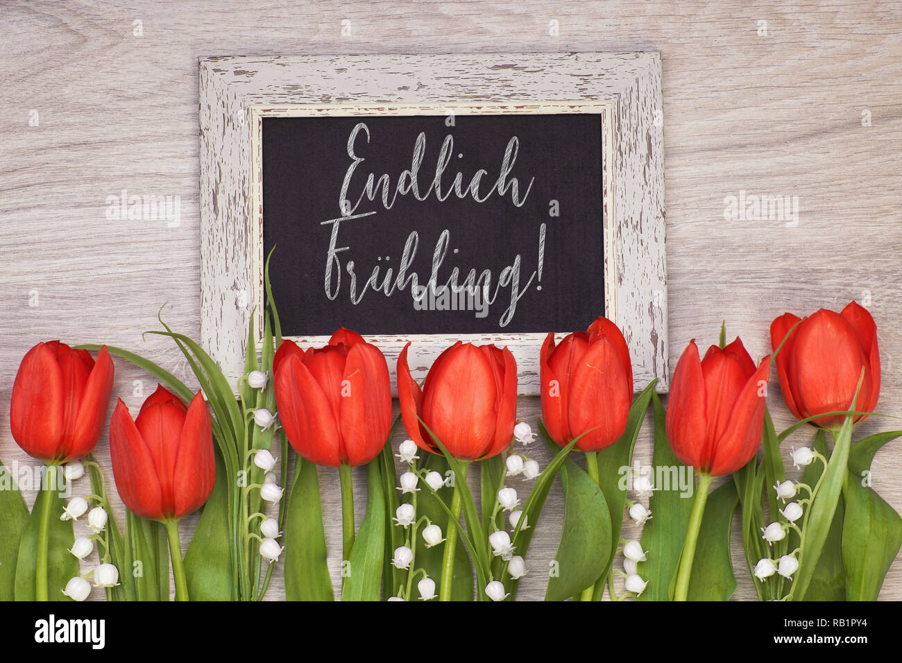 Bunch of red tulips and lily of the valley flowers on light wood with black board. Chalk text on the board "Endlich fruhling" means "Finally Spring" i Stock Photo