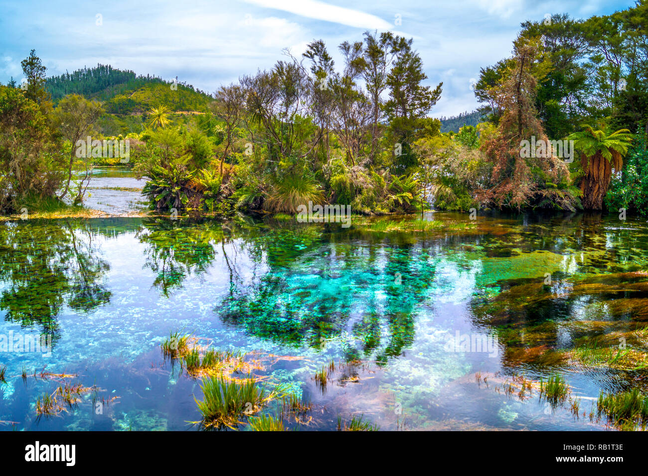 Pupu Springs, Water, New Zealand Stock Photo