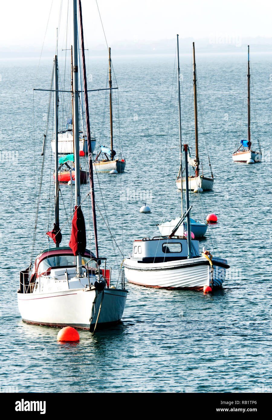 Sailing boats on the sea, Ireland Stock Photo Alamy