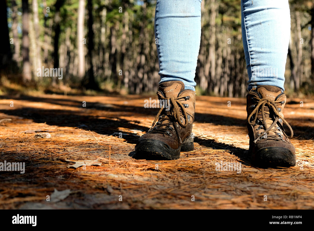 Close up of a female hiker's legs wearing jeans and hiking boots as she  stands to rest on a trail at the Sam Houston National Forest in Texas Stock  Photo - Alamy