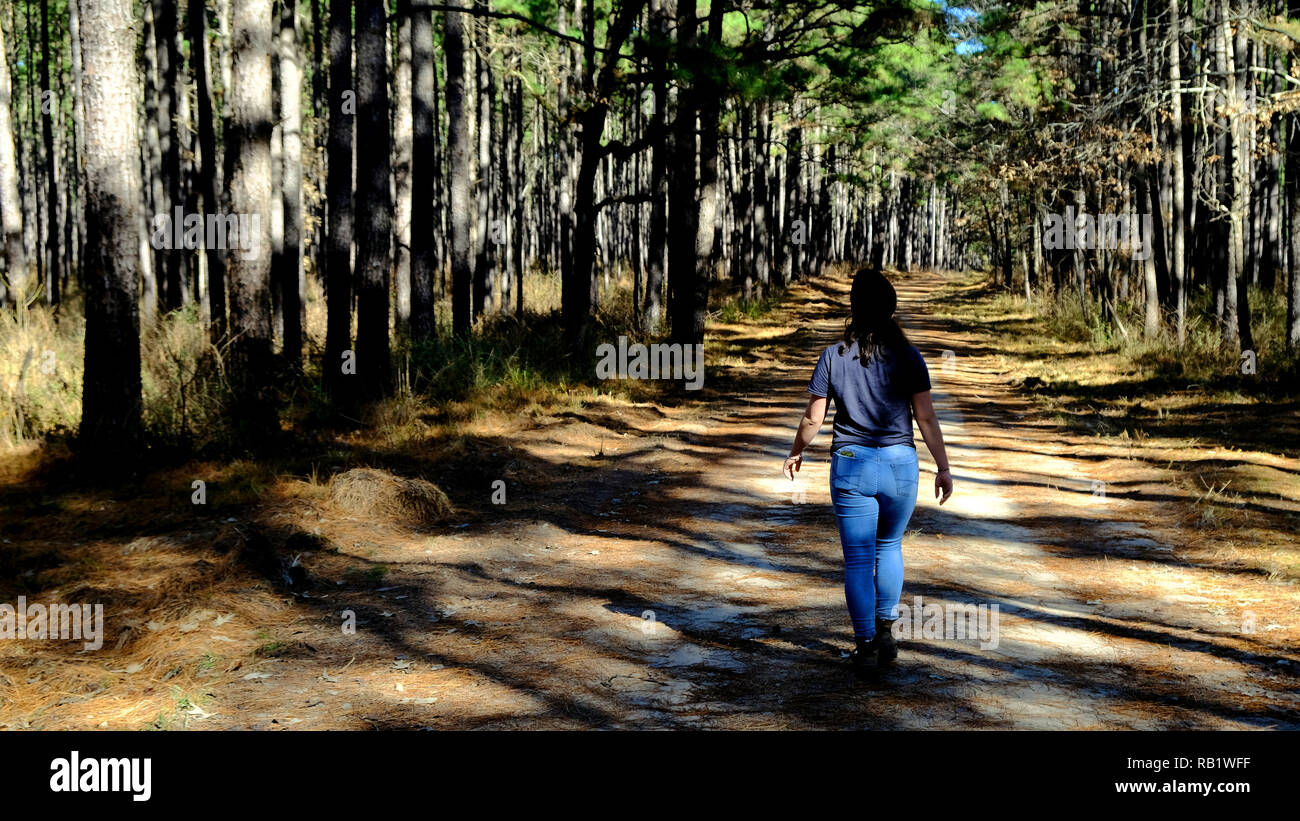 Young female hiker walking alone on a service road / trail in the Sam Houston National Forest in Texas. Stock Photo