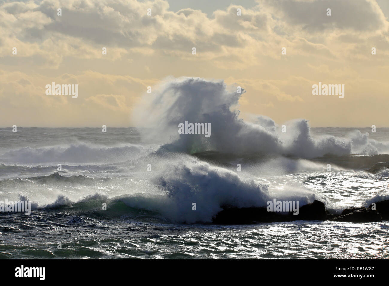 Ocean waves Stock Photo