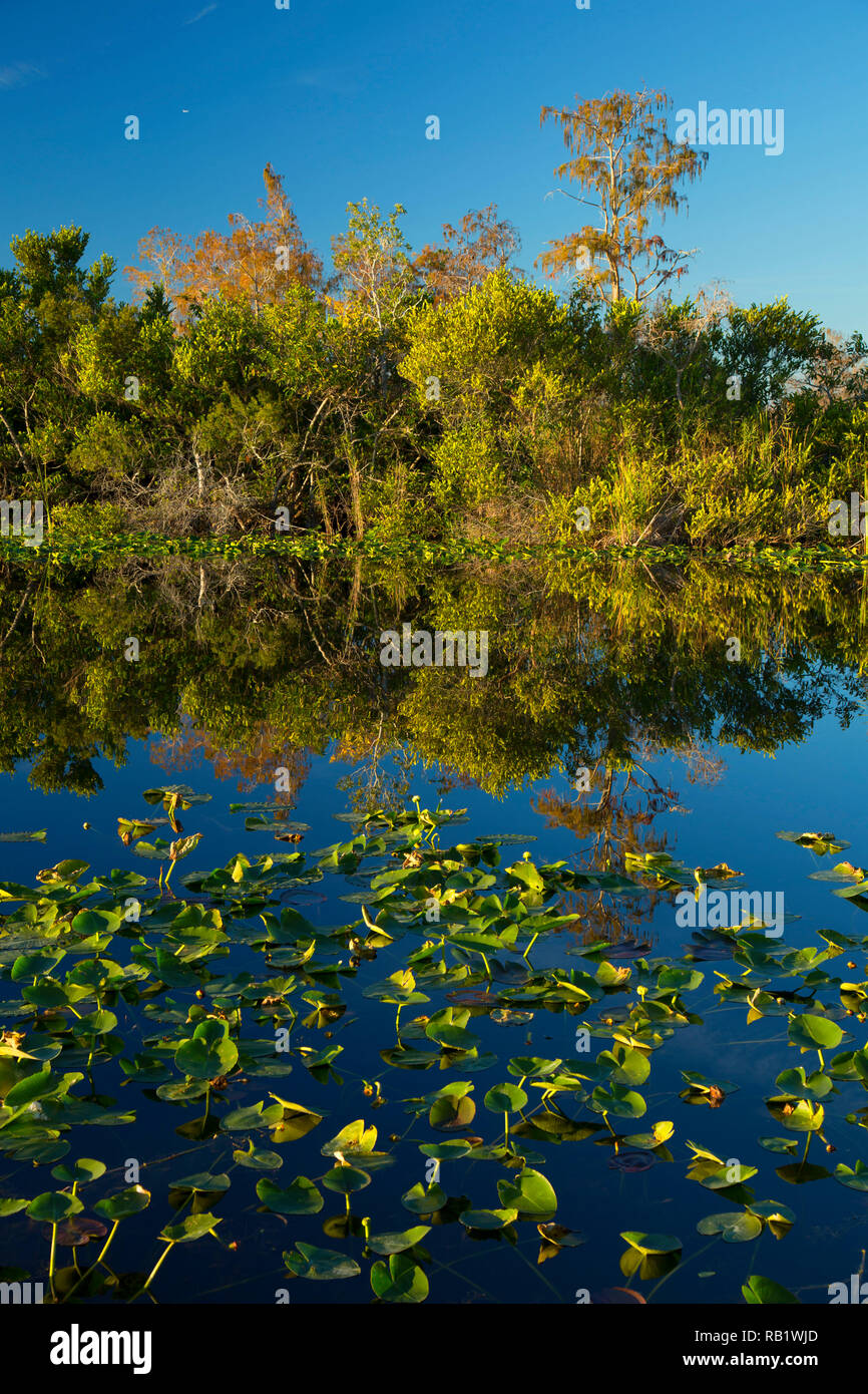 Francis s taylor wildlife management area hires stock photography and images Alamy