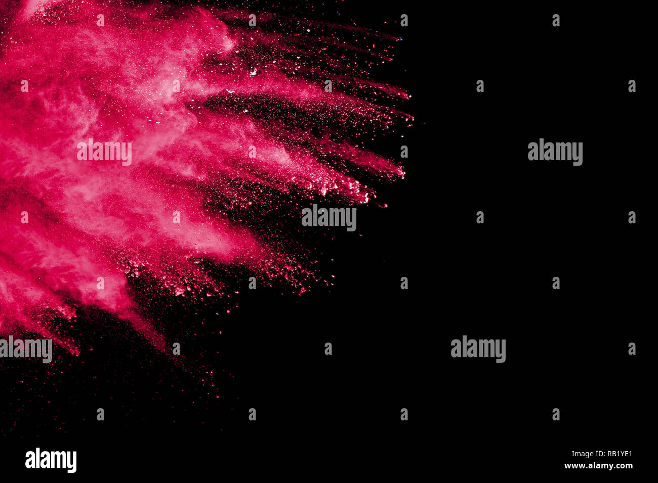 Red color powder explosion on black background.Freeze motion of red dust particles splashing. Stock Photo
