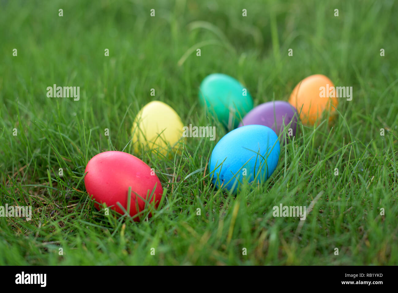 Six hen colored eggs  in a grass - Easter hunt Stock Photo