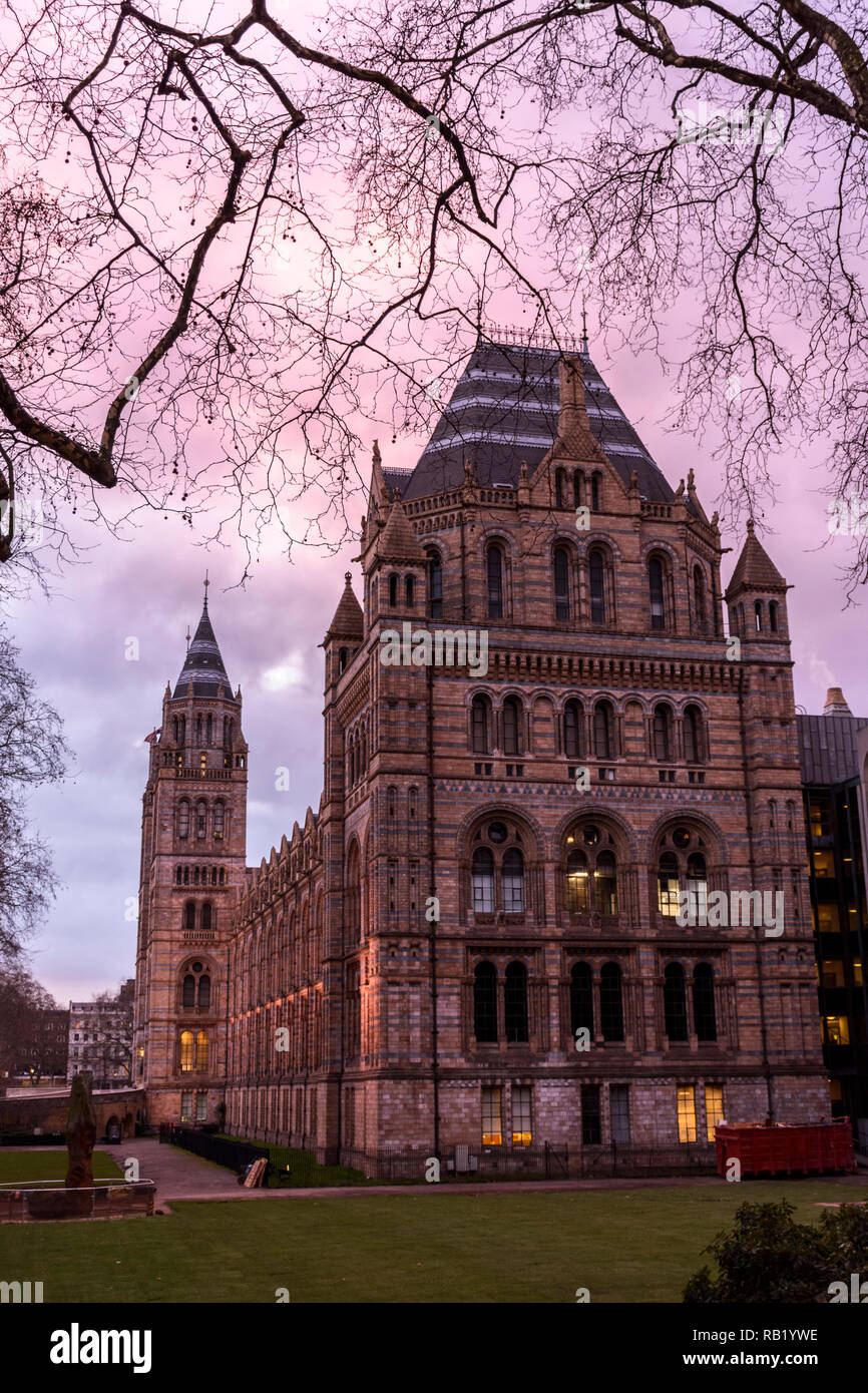 The Natural History Museum Stock Photo Alamy