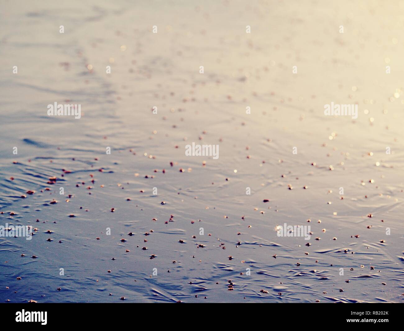 Abstract surface of frozen lake. Frozen air in arctic ice. Colorful piece of ice with sun rays reflections. Stock Photo
