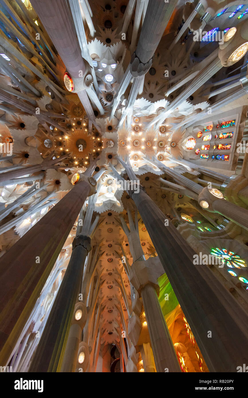 Innenansicht, Deckengewölbe Sagrada Familia, Barcelona, Spanien Stock Photo