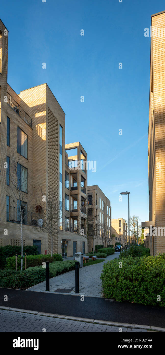 Modern housing in the Aura development on the outskirts of Cambridge, UK Stock Photo