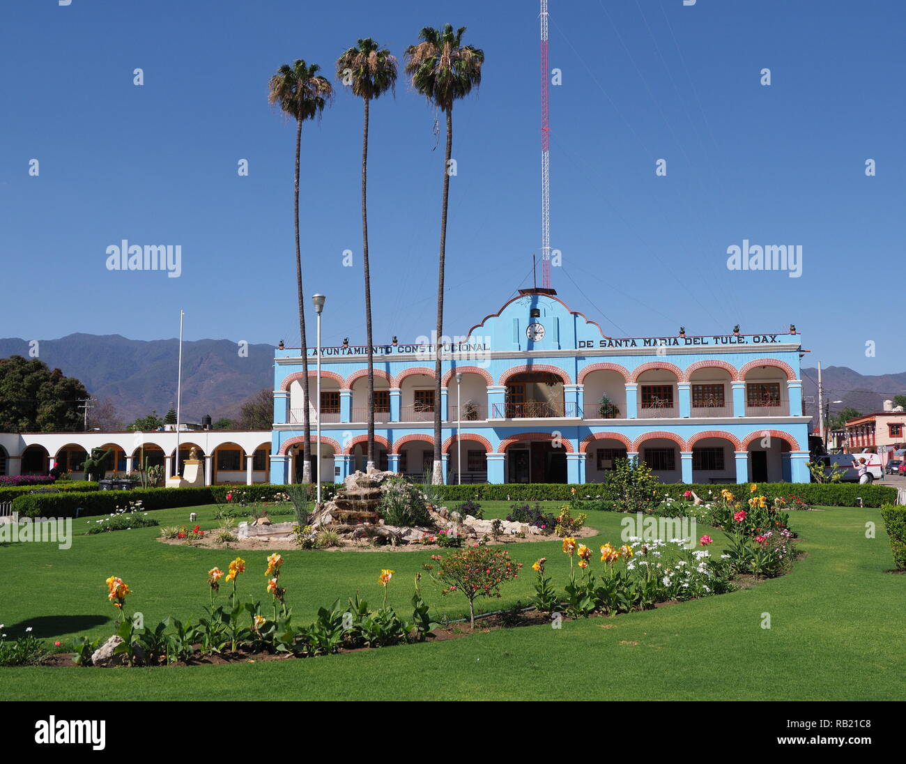 Beauty plants on main square in front of town hall in Santa Maria del Tule city center at Oaxaca state in Mexico Stock Photo