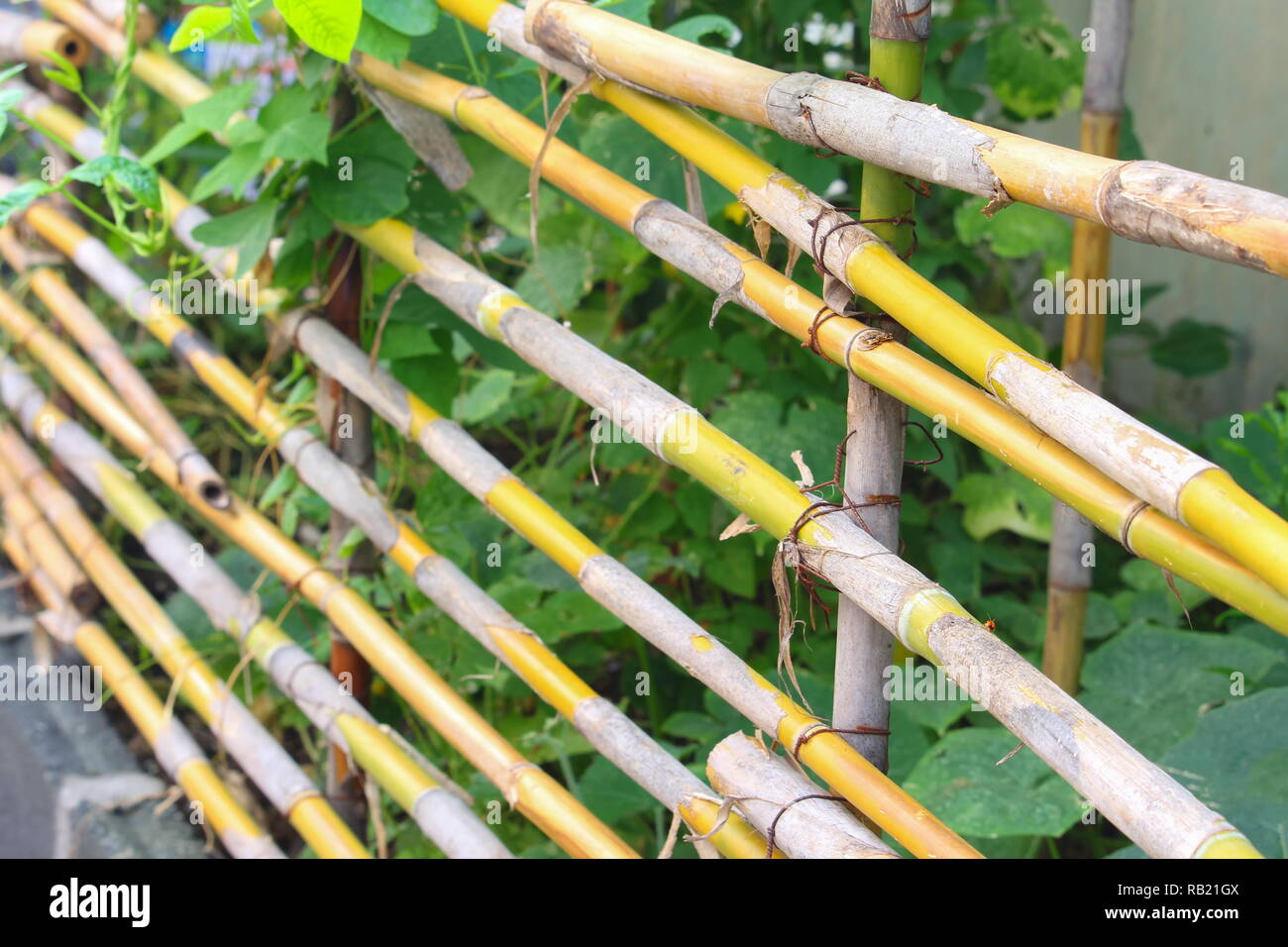 Bamboo Partition High Resolution Stock Photography And Images Alamy